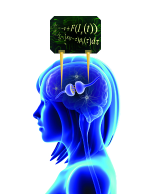 illustration showing engineered neuroplasticity