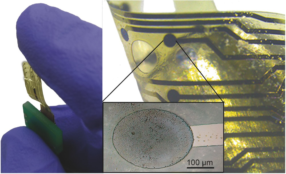 Representative image of a 12‐electrode glassy carbon array on polyimide (PI) substrate (left); Detail showing one electrode perfectly embedded into the PI substrate (right).