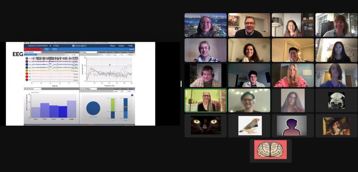 Screenshot of NNL participants during a virtual presentation