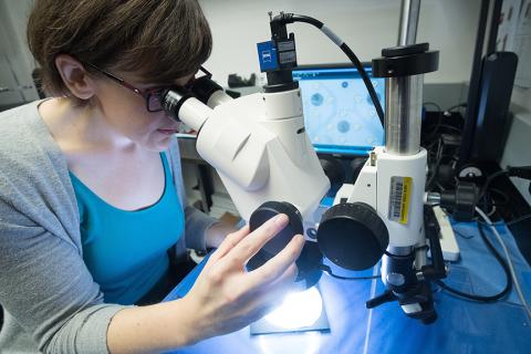 A young woman looking into a microscope