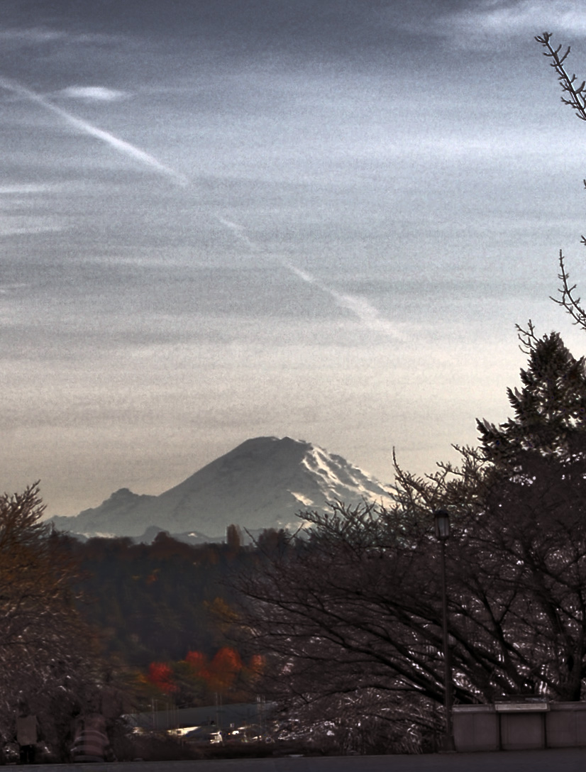 Mt. Rainier