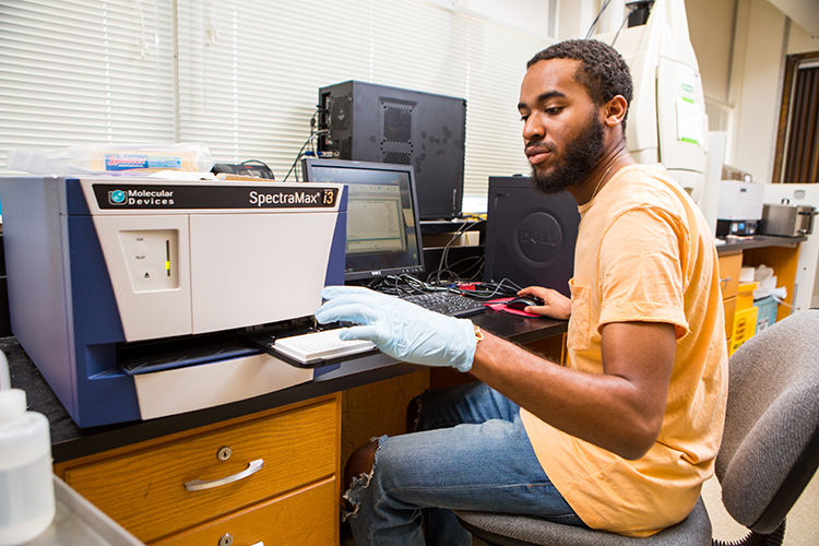 Jesse Woodbury working in the lab